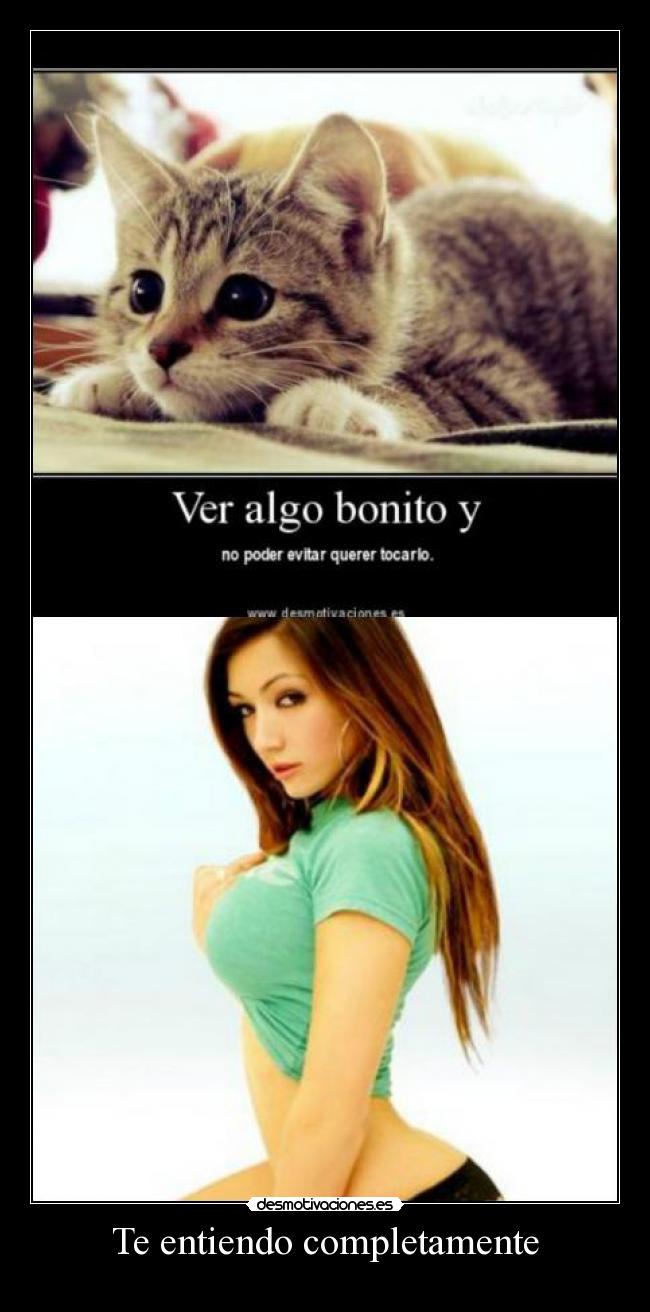 Te entiendo completamente - 