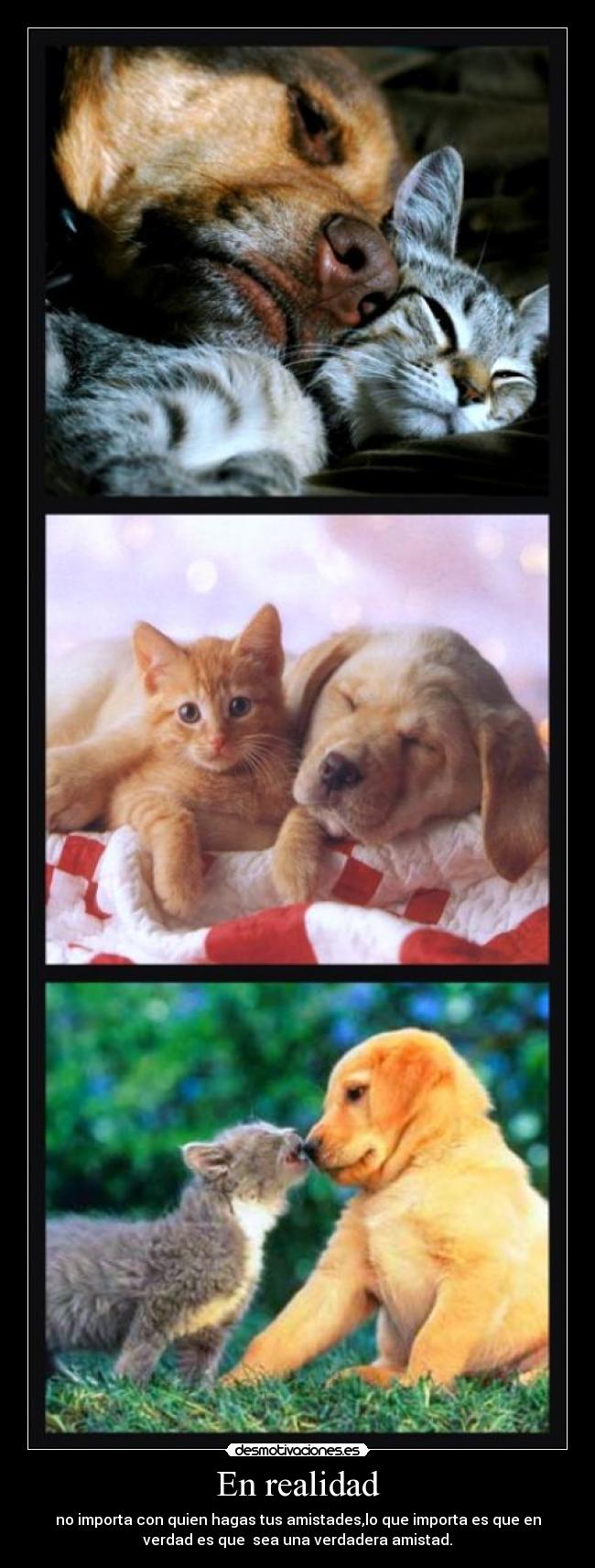 En realidad - no importa con quien hagas tus amistades,lo que importa es que en
verdad es que  sea una verdadera amistad.