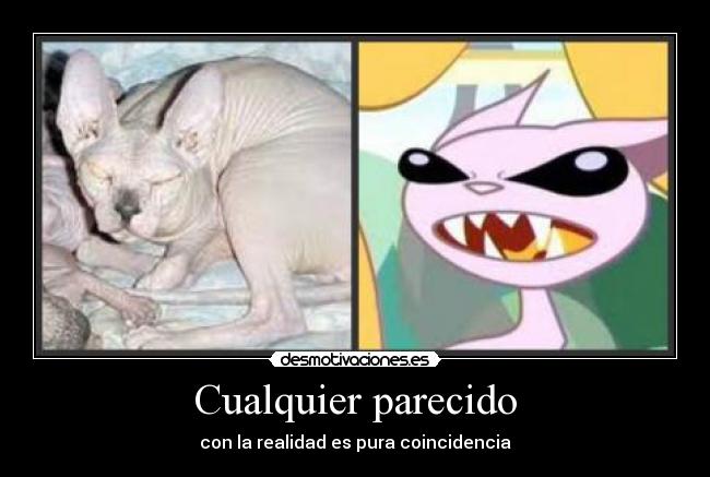 Cualquier parecido - con la realidad es pura coincidencia