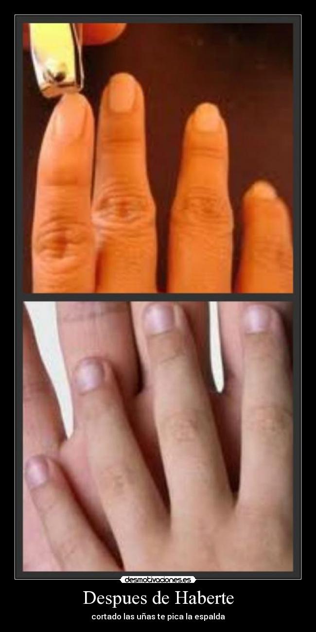 Despues de Haberte -