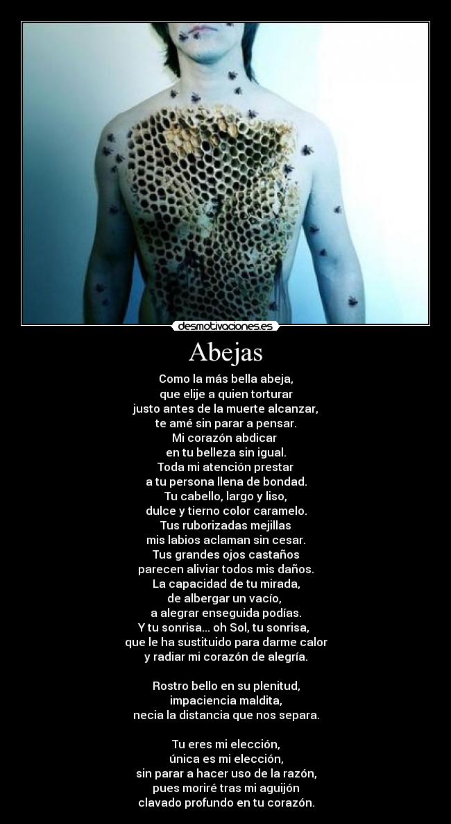 Abejas - Como la más bella abeja,
que elije a quien torturar
justo antes de la muerte alcanzar,
te amé sin parar a pensar.
Mi corazón abdicar 
en tu belleza sin igual.
Toda mi atención prestar
a tu persona llena de bondad.
Tu cabello, largo y liso,
dulce y tierno color caramelo.
Tus ruborizadas mejillas
mis labios aclaman sin cesar.
Tus grandes ojos castaños
parecen aliviar todos mis daños.
La capacidad de tu mirada,
de albergar un vacío, 
a alegrar enseguida podías.
Y tu sonrisa... oh Sol, tu sonrisa, 
que le ha sustituido para darme calor
y radiar mi corazón de alegría.

Rostro bello en su plenitud,
impaciencia maldita,
necia la distancia que nos separa.

Tu eres mi elección,
única es mi elección,
sin parar a hacer uso de la razón,
pues moriré tras mi aguijón
clavado profundo en tu corazón.