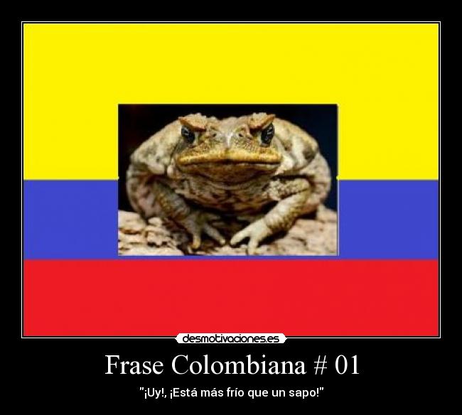 Frase Colombiana # 01 - ¡Uy!, ¡Está más frío que un sapo!