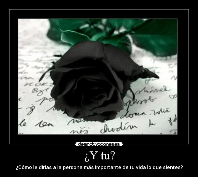 ¿Y tu? -