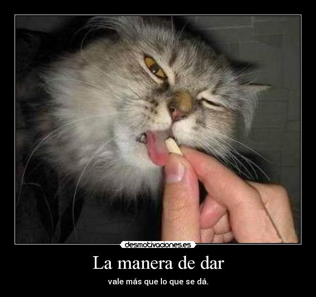 La manera de dar - vale más que lo que se dá.