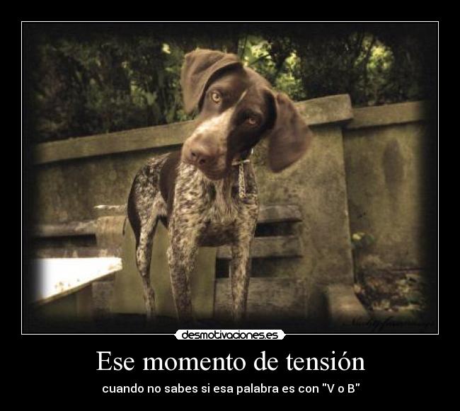 Ese momento de tensión -