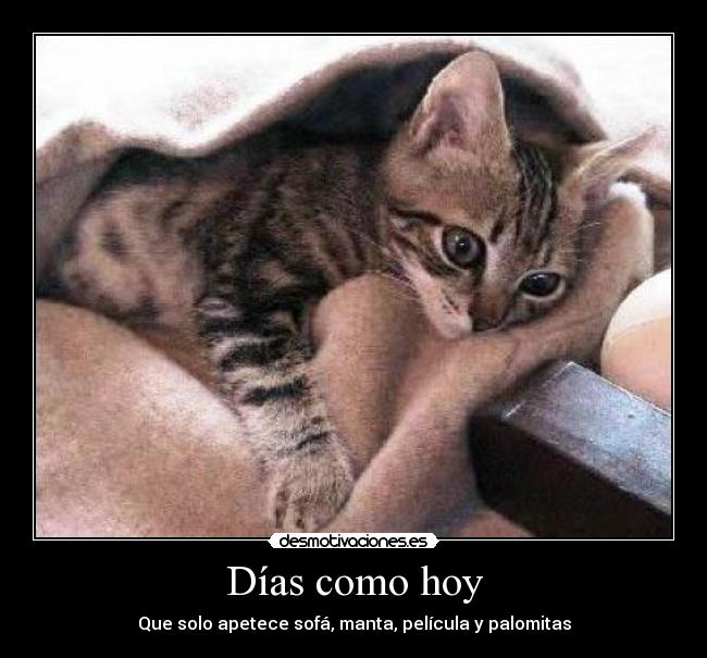 Días como hoy -