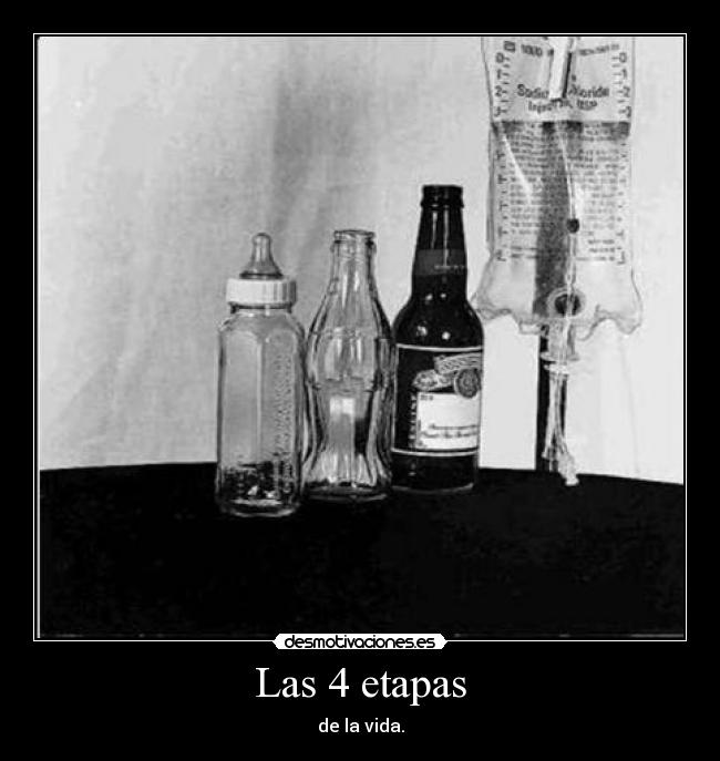 Las 4 etapas - de la vida.