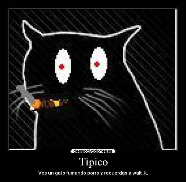 Tipico - Ves un gato fumando porro y recuerdas a walt_k.