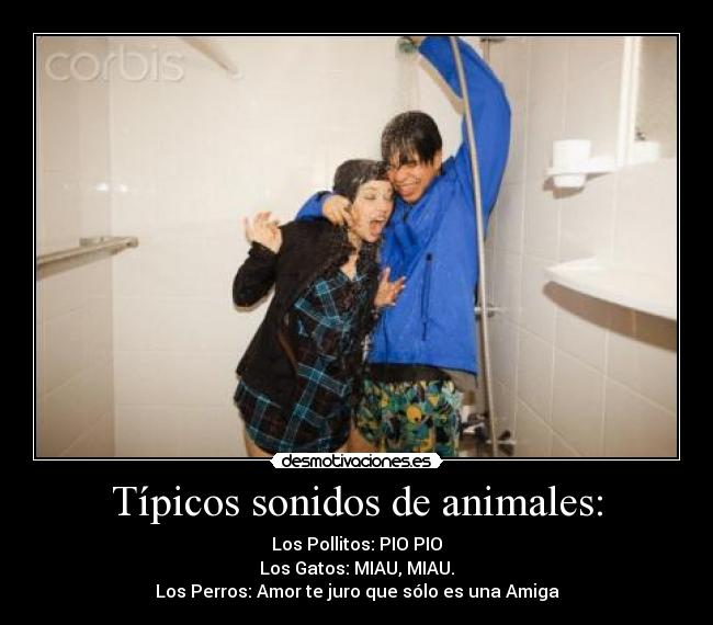 Típicos sonidos de animales: -