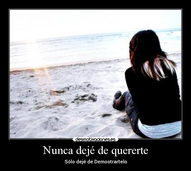 carteles nunca deje quererte desmotivaciones