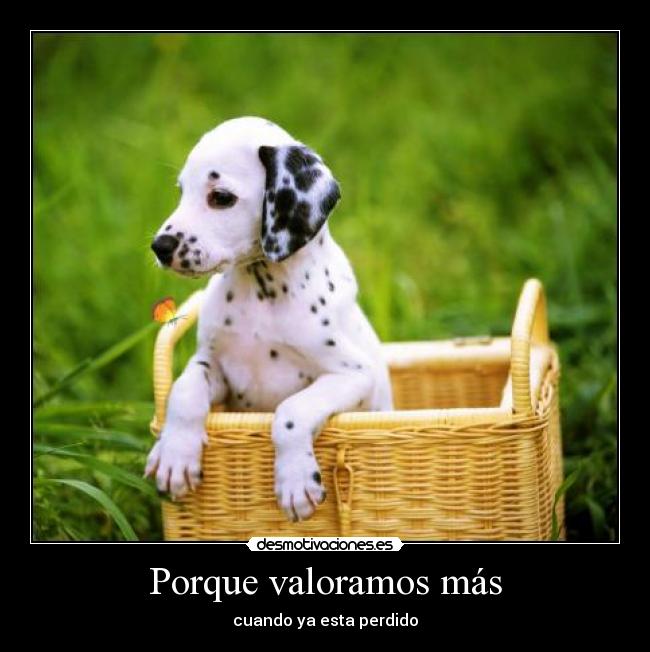 Porque valoramos más -