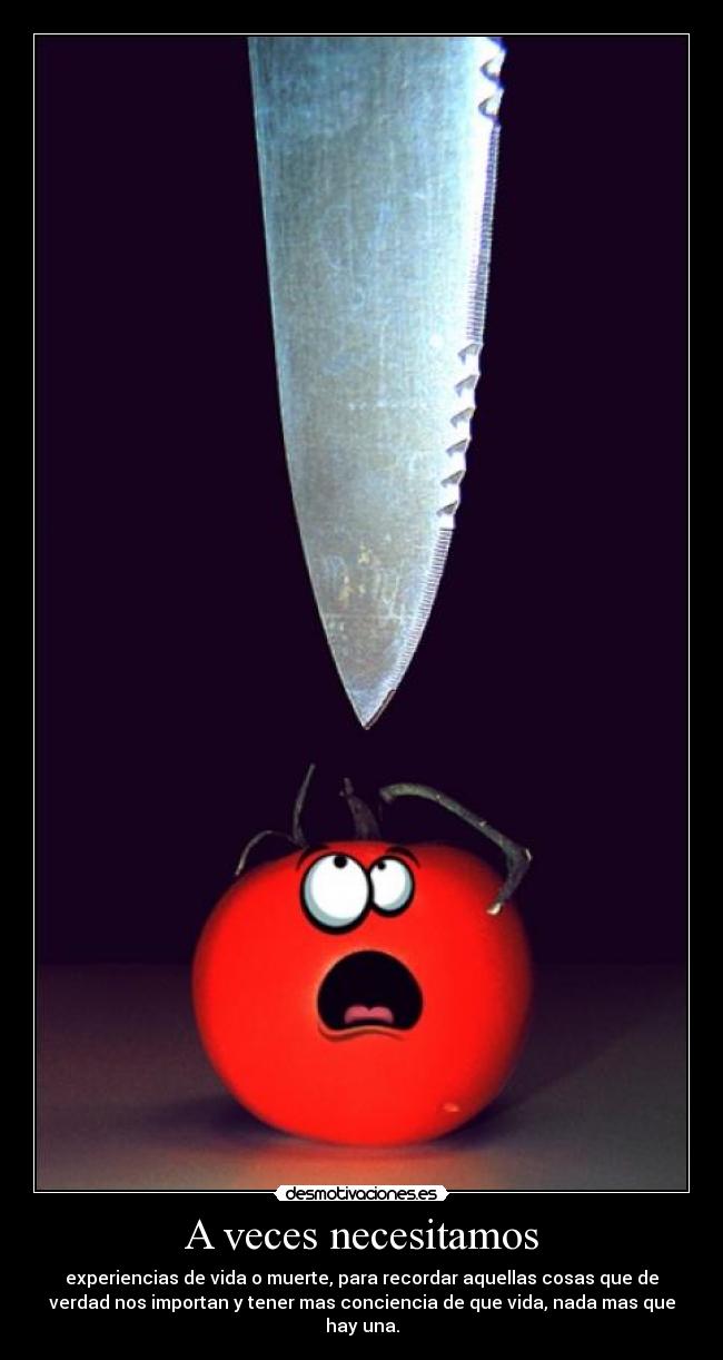 carteles valora vida recordaran desmotivaciones