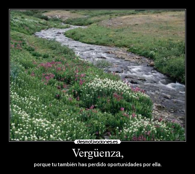 Vergüenza, - porque tu también has perdido oportunidades por ella.