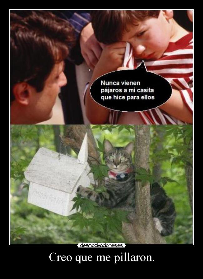 Creo que me pillaron. - 