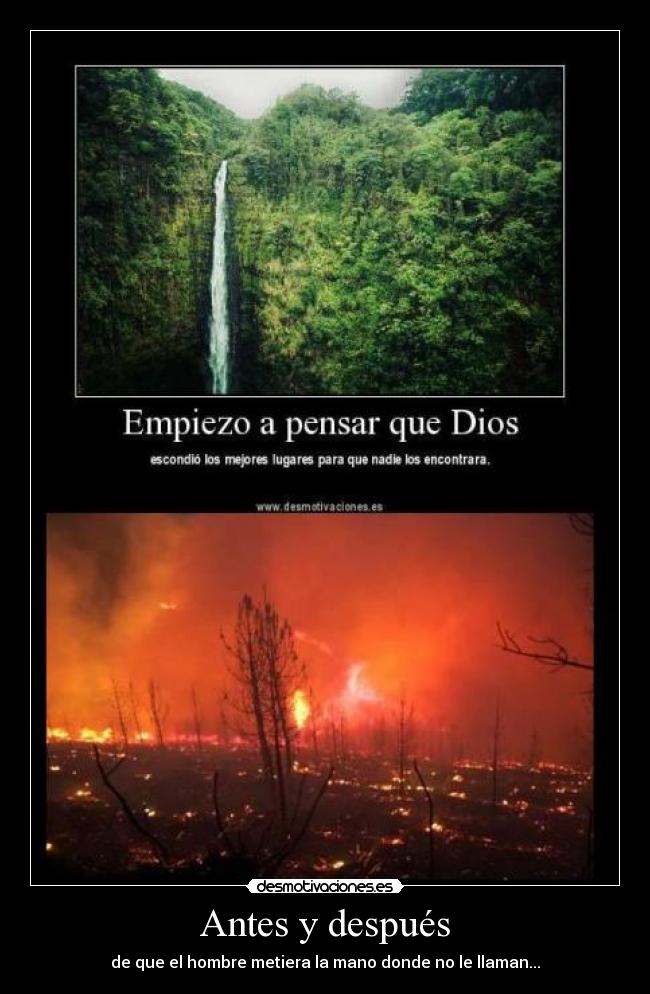 Antes y después - de que el hombre metiera la mano donde no le llaman...