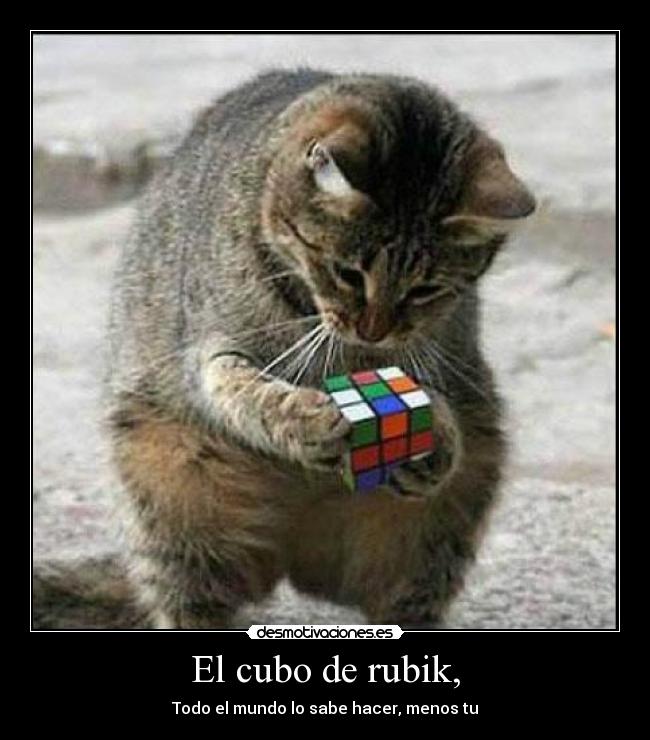 El cubo de rubik, -