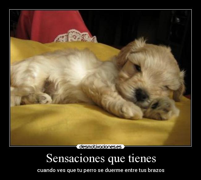 Sensaciones que tienes -
