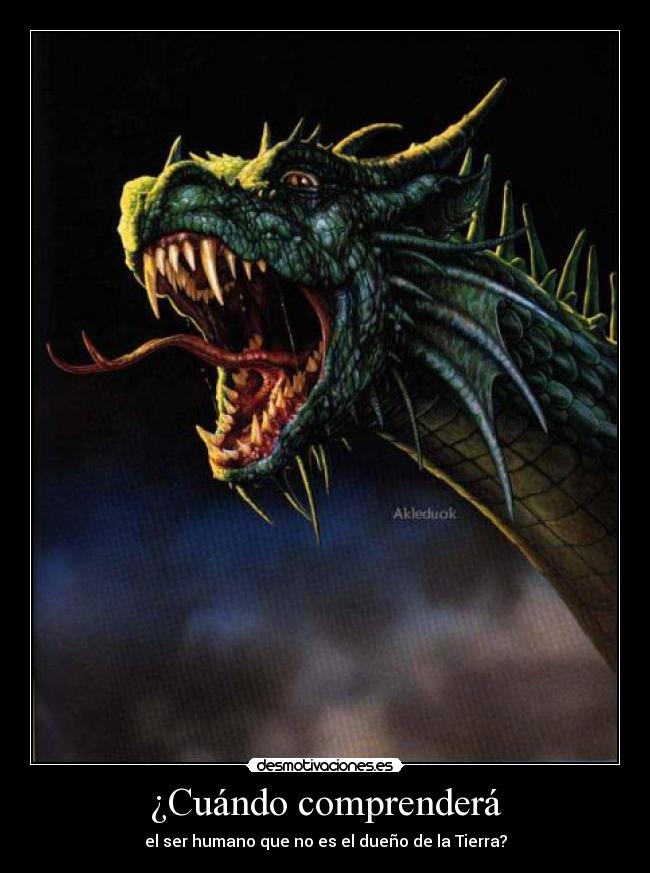¿Cuándo comprenderá -
