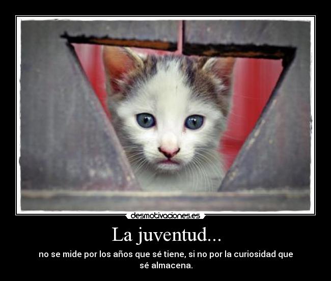 La juventud... - 