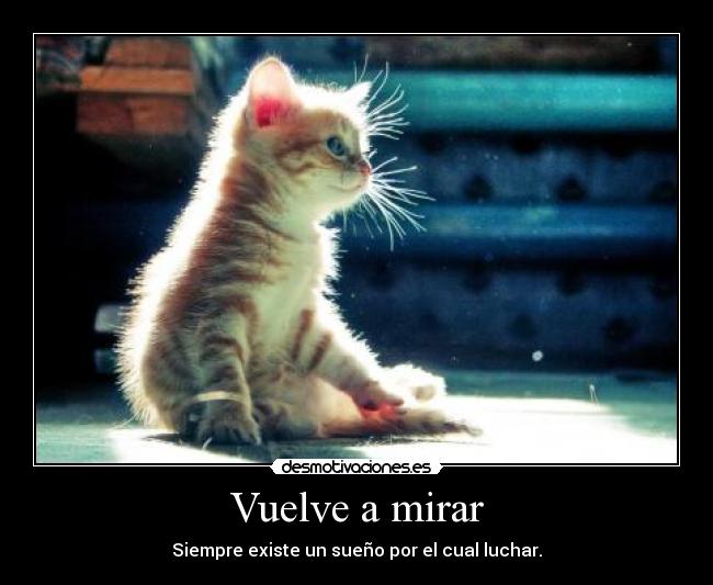 Vuelve a mirar - Siempre existe un sueño por el cual luchar.