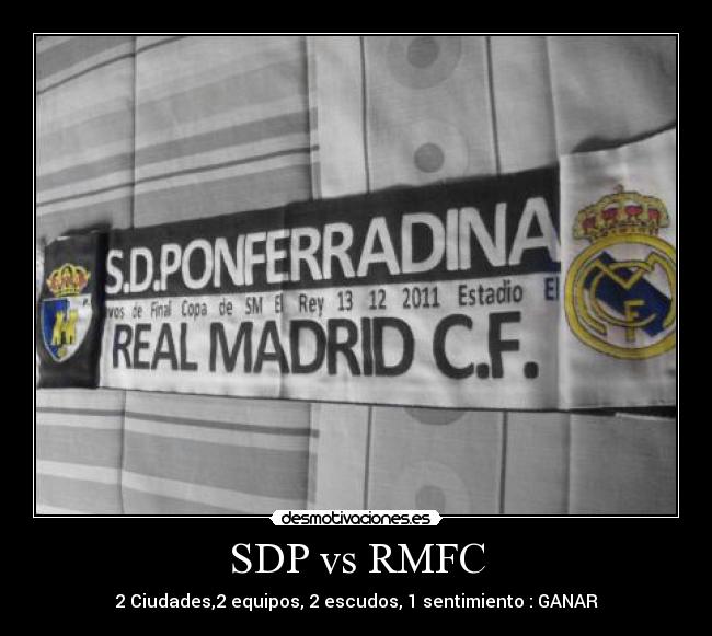 SDP vs RMFC - 