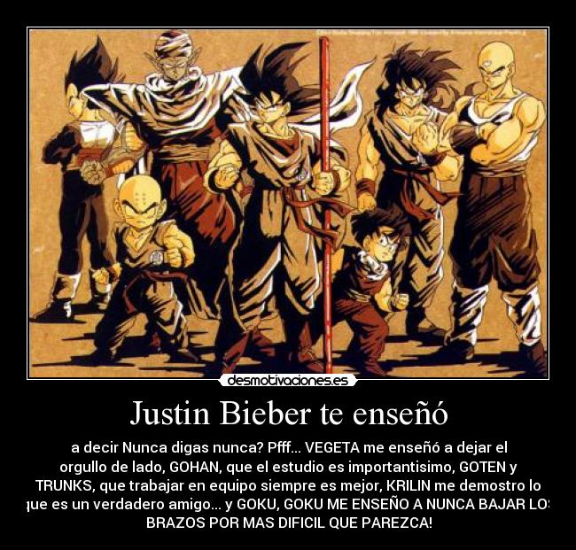 carteles dbz antibieber vegeta krillin goku guerreros desmotivaciones