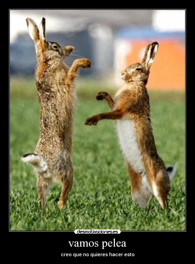 carteles walk desmotivaciones