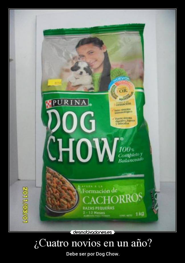 ¿Cuatro novios en un año? - Debe ser por Dog Chow.