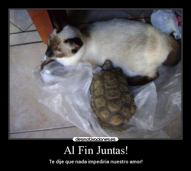 Al Fin Juntas! -
