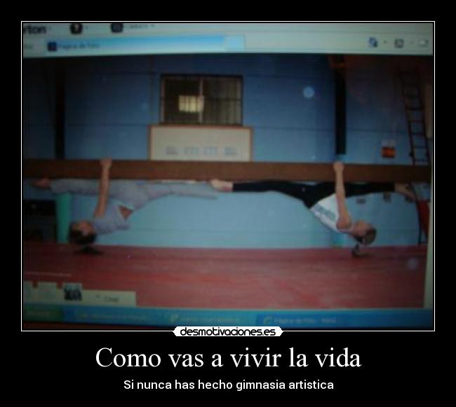 carteles vida gimnasia desmotivaciones