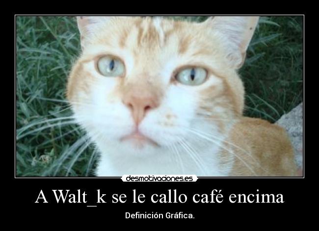 A Walt_k se le callo café encima -