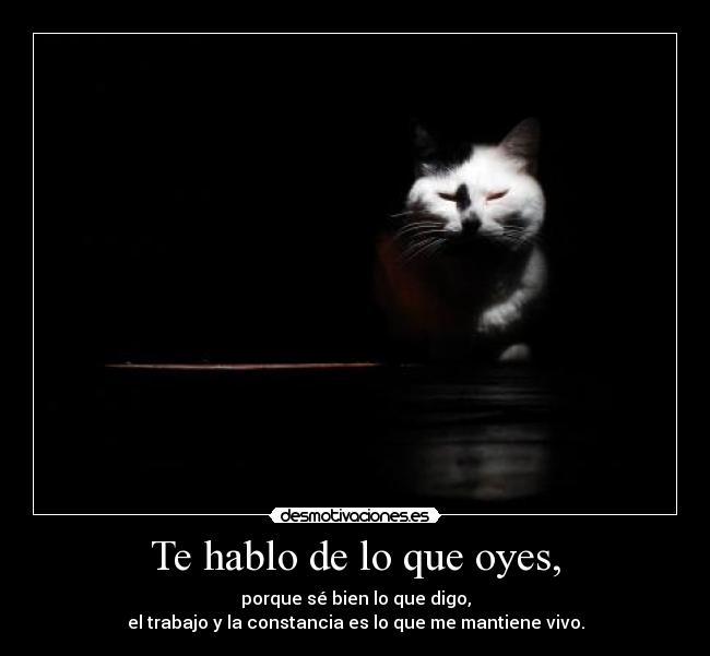Te hablo de lo que oyes, - porque sé bien lo que digo,
el trabajo y la constancia es lo que me mantiene vivo.