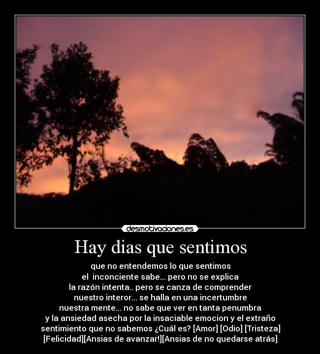 Hay dias que sentimos -