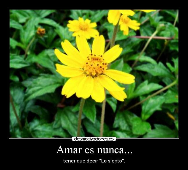 Amar es nunca... - 