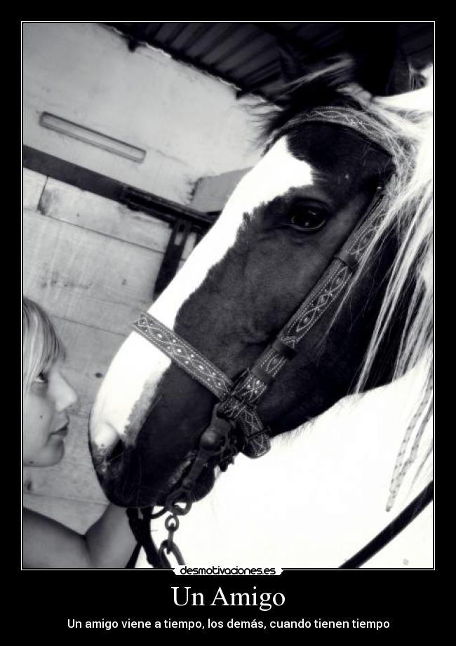 Un Amigo -