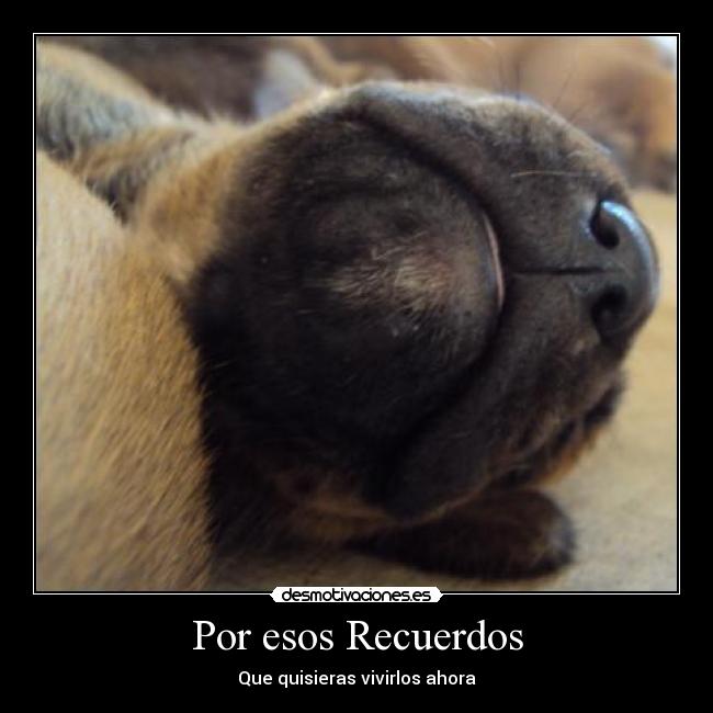 carteles recuerdos holajiji desmotivaciones