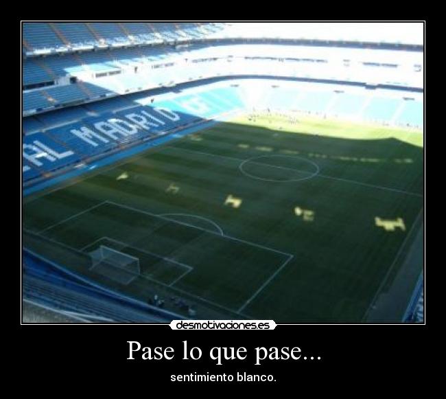 Pase lo que pase... - sentimiento blanco.♥