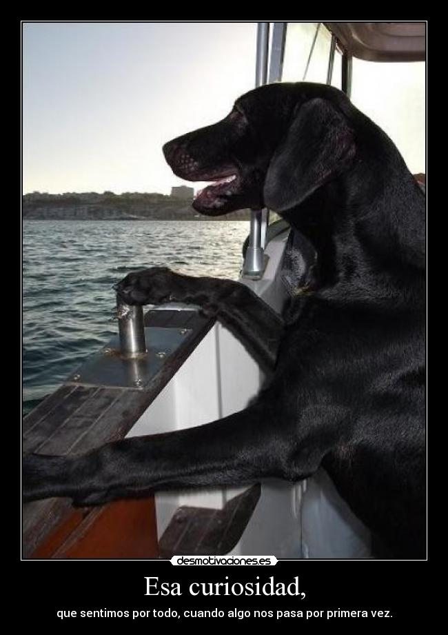 Esa curiosidad, - 