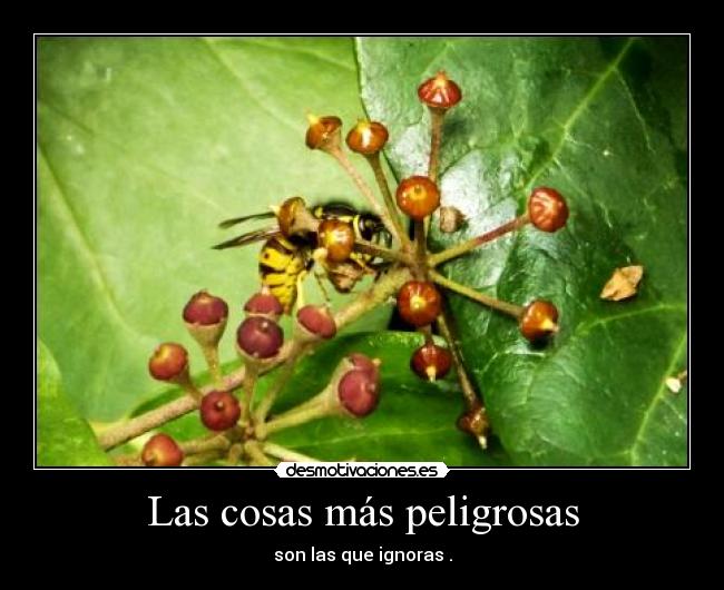 Las cosas más peligrosas - son las que ignoras .