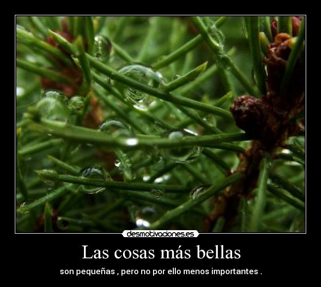 Las cosas más bellas - son pequeñas , pero no por ello menos importantes .