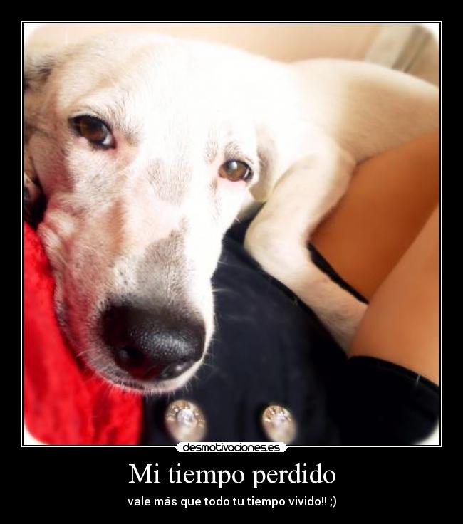 carteles tiempo perdido vale mas que todo tiempo vivido desmotivaciones