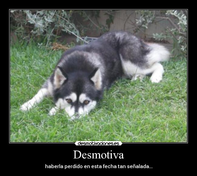 Desmotiva - haberla perdido en esta fecha tan señalada...