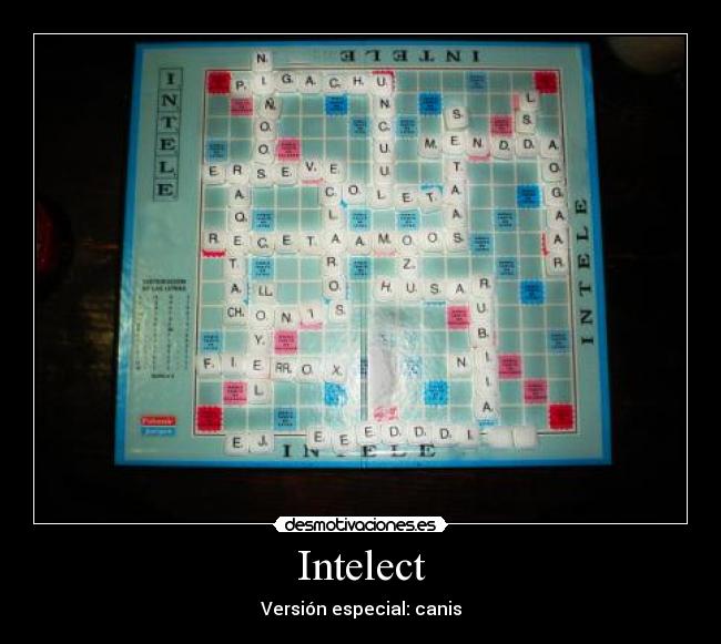 Intelect - Versión especial: canis