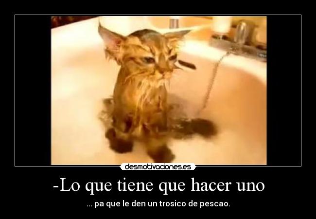 -Lo que tiene que hacer uno -