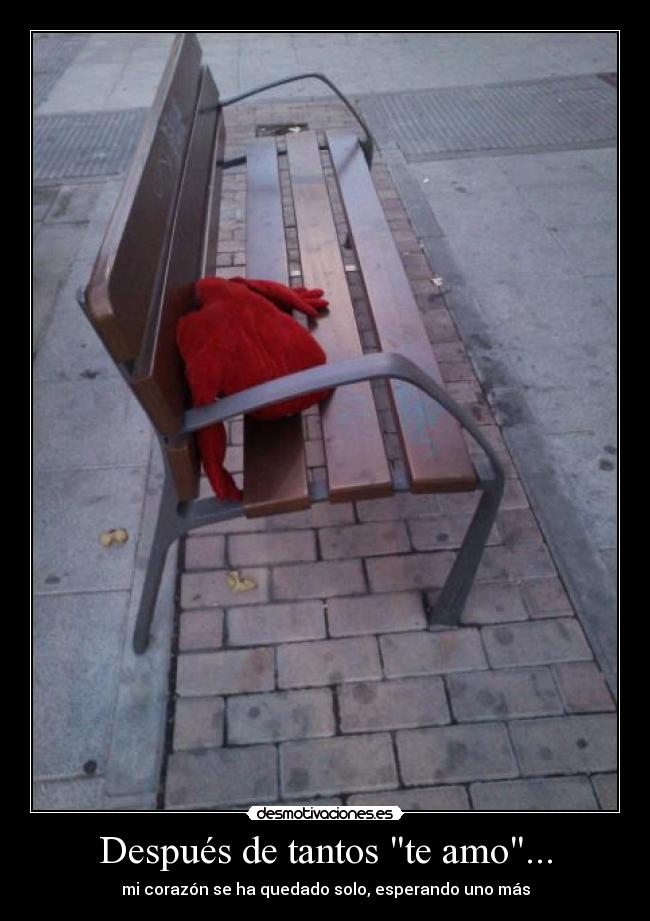 Después de tantos te amo... - 