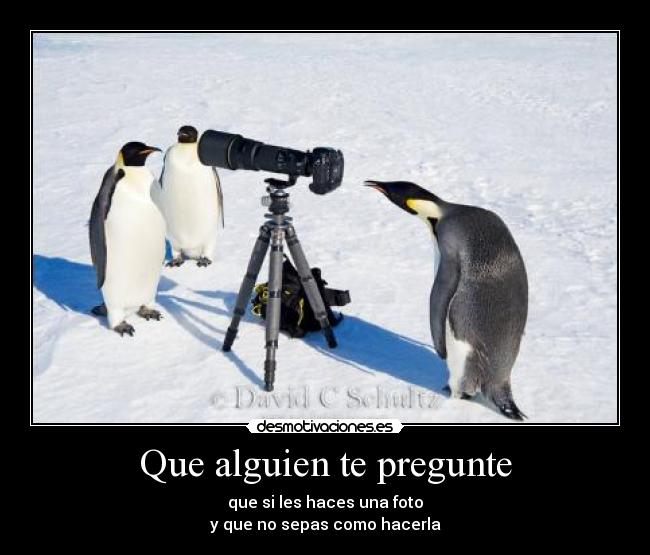 Que alguien te pregunte - que si les haces una foto
y que no sepas como hacerla
