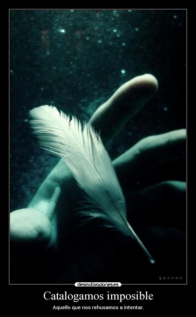 Catalogamos imposible -