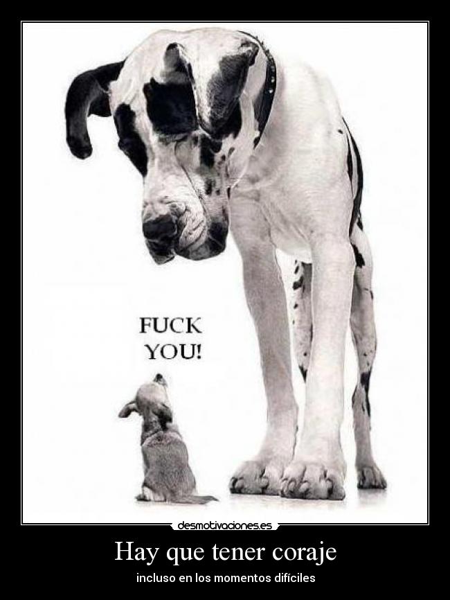 Hay que tener coraje - incluso en los momentos difíciles