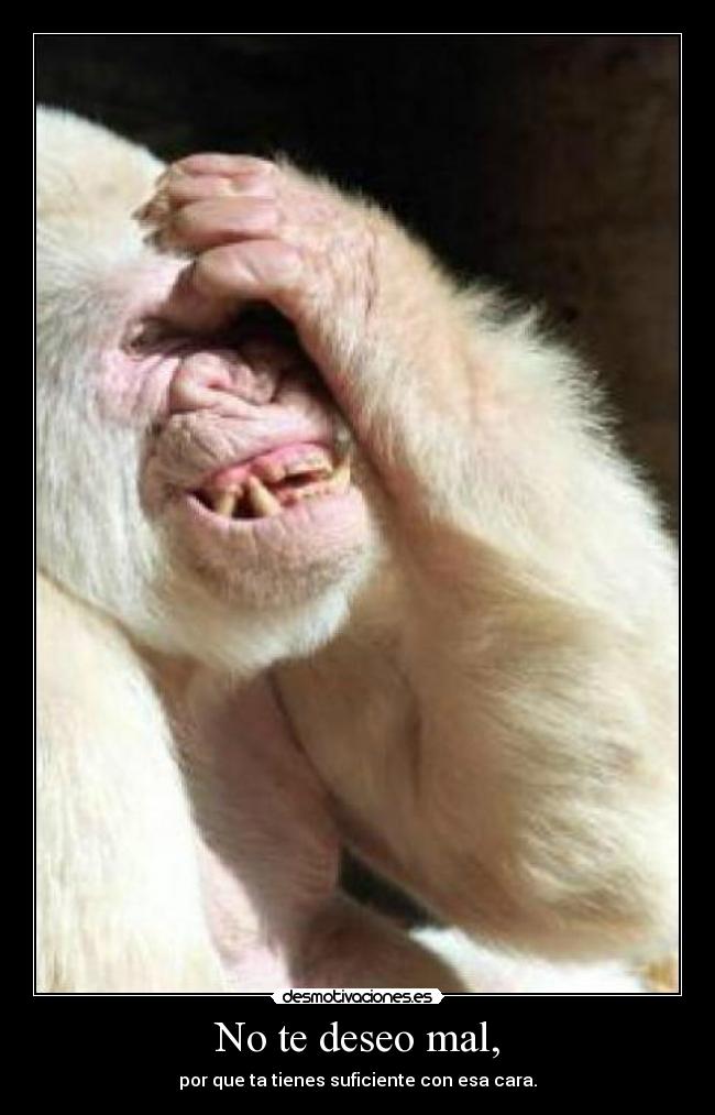 No te deseo mal, - 