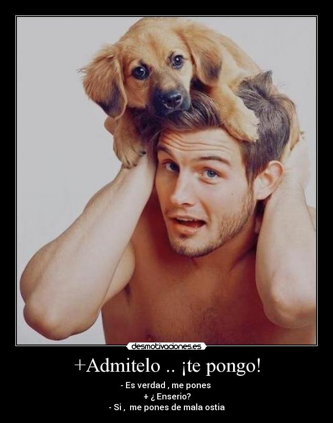 carteles medasigual desmotivaciones